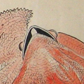 Frill Lizard sketches