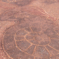 Detail of ground patterns and fish
