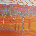 Kimberley Landscape (diptych)