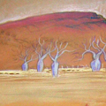 Kimberley Landscape