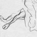 Kimberley field drawing