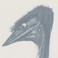 Emu country, Mulga Quuen