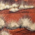 Spinifex Ridges