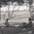 Homestead grounds, Mt Anderson station, West Kimberley.