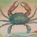 'Crab of Good Fortune'